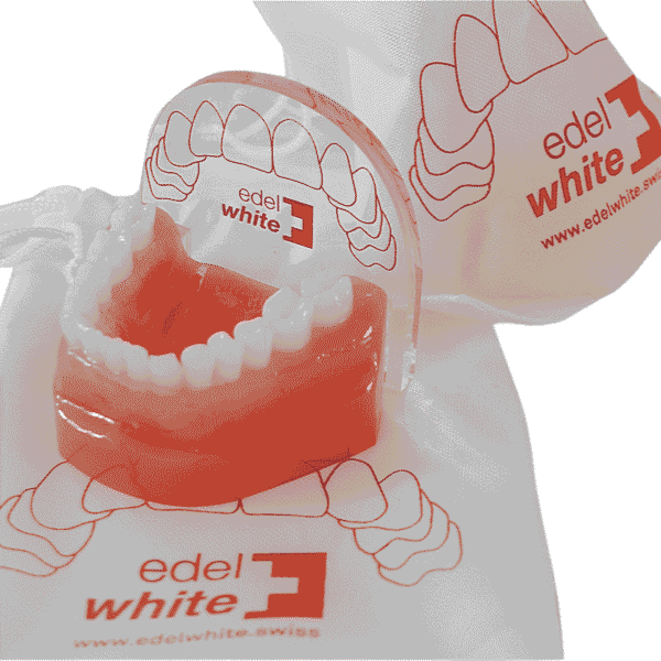 Modèle de dent de démonstration de la marque dentaire suisse edel+white à des fins de démonstration, modèle de dent avec couvercle de protection
