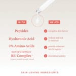belif Super Drops Retinol & Peptide Barrier Serum 30ml - Sérum anti-âge pour une peau plus ferme, des pores resserrés & une barrière cutanée renforcée. Infographie ingrédients